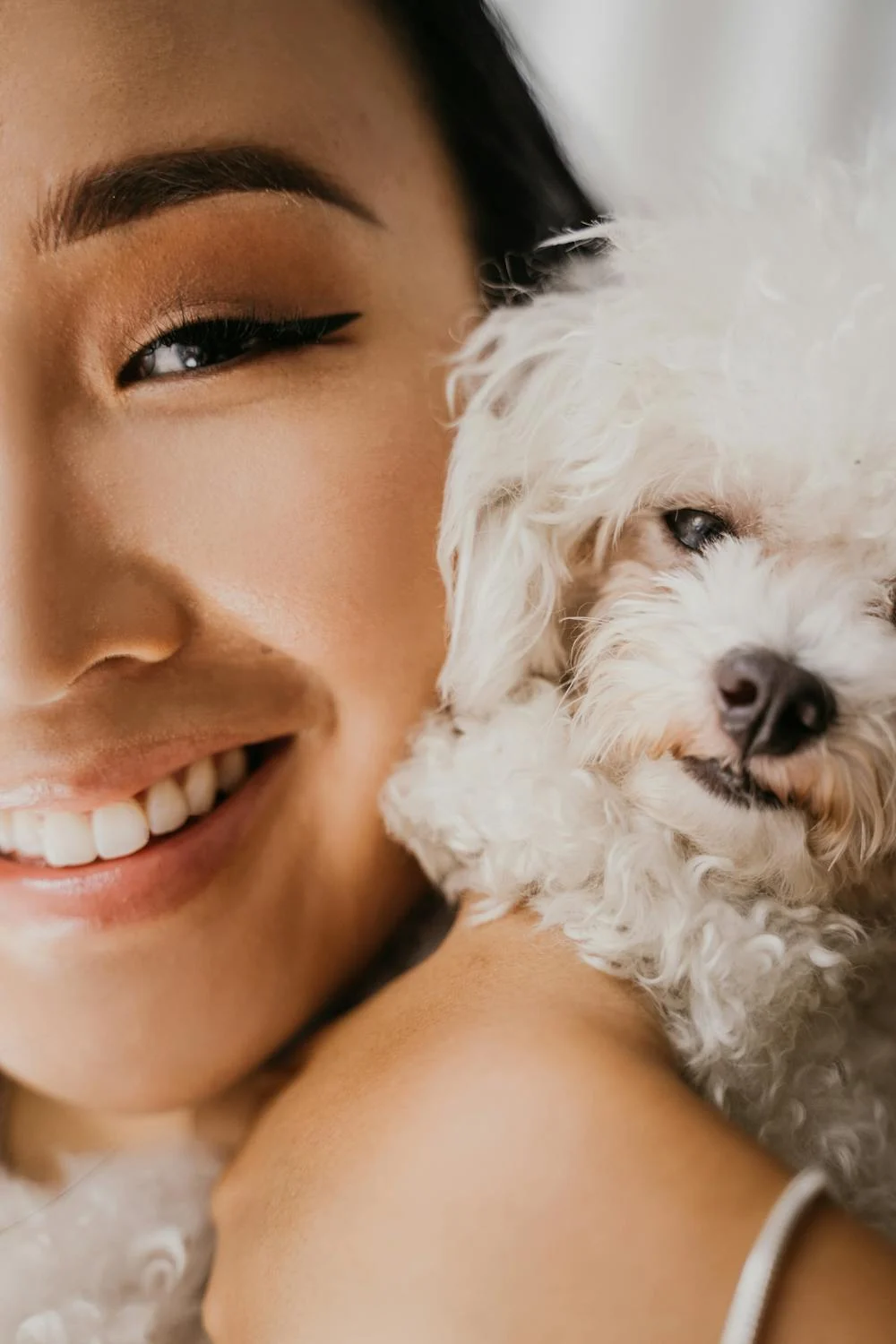 poodle whiskers