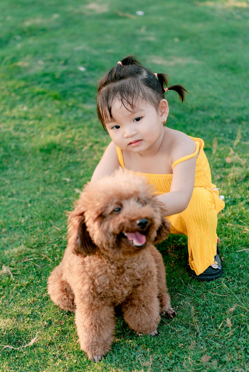 child with poodle
