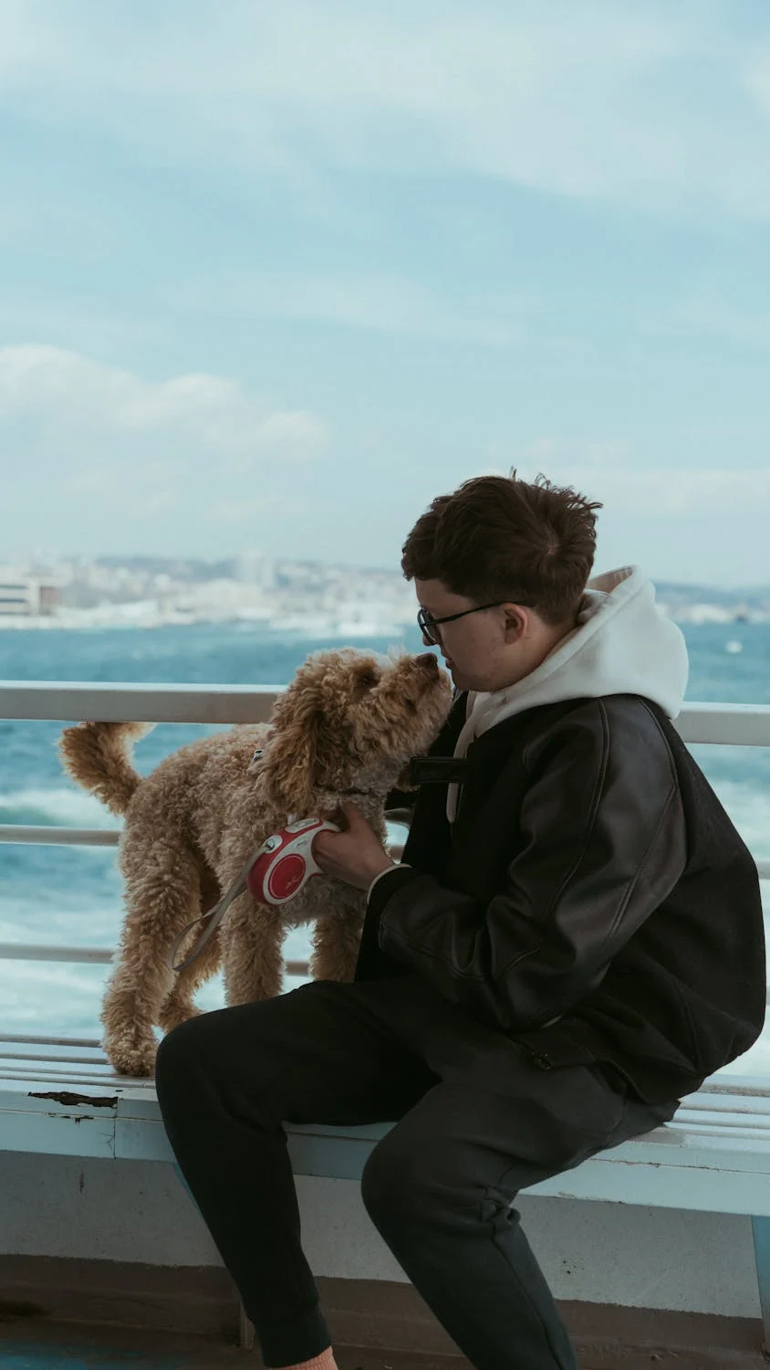 poodle clingy