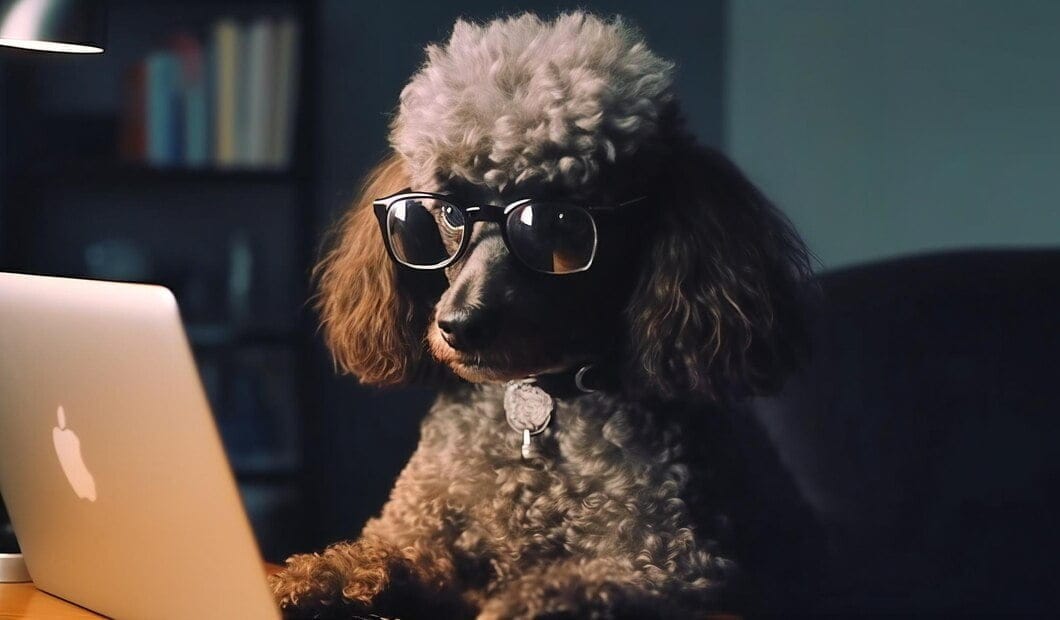 smart-poodle