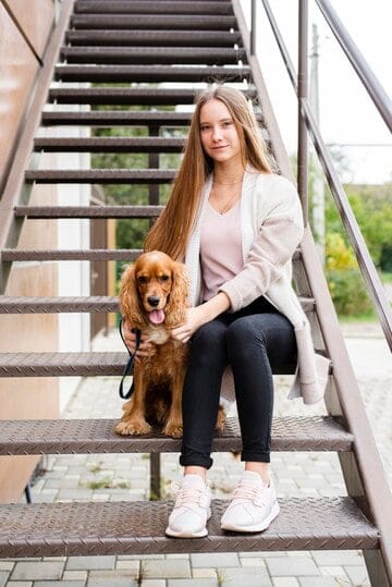 dogs and stairs