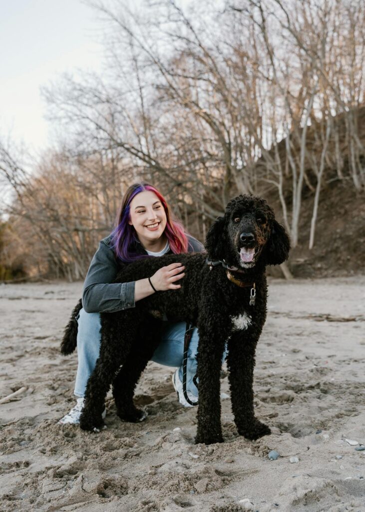 Why Do Poodles Always Win Dog Shows